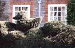 Topiary bird & egg in the hedge 6k click for larger image 28k